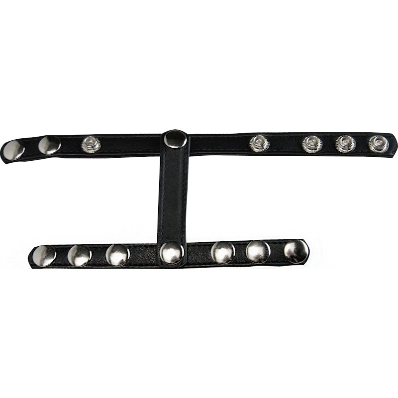 Snap-On Cock And Ball Harness - Naughty by Nature Adult Store