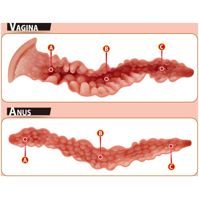 Onahole Pussy and Ass - Naughty by Nature Adult Store