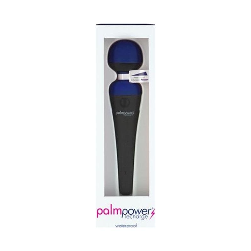 PalmPower Massage Wand Blue - Naughty by Nature Adult Store