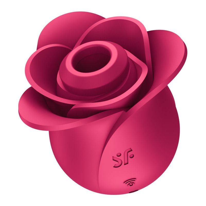 Satisfyer Pro 2 Modern Blossom Air Wave Clitoral Stimulator with various models including Pro 2+, Generation 3, and Next Generation