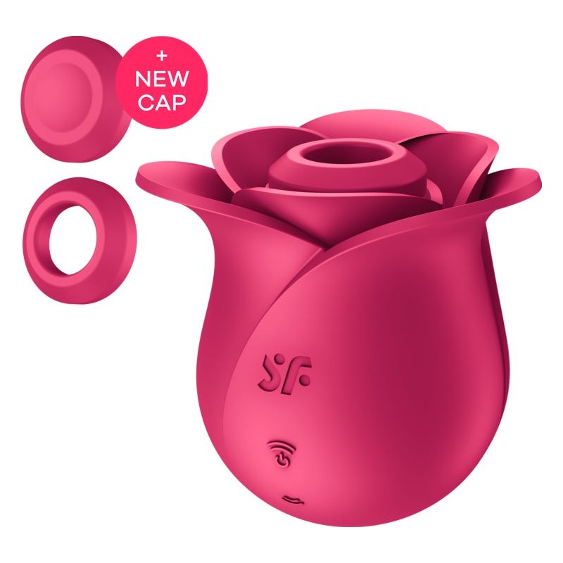 Satisfyer Pro 2 Modern Blossom Air Wave Clitoral Stimulator with various models including Pro 2+, Generation 3, and Next Generation