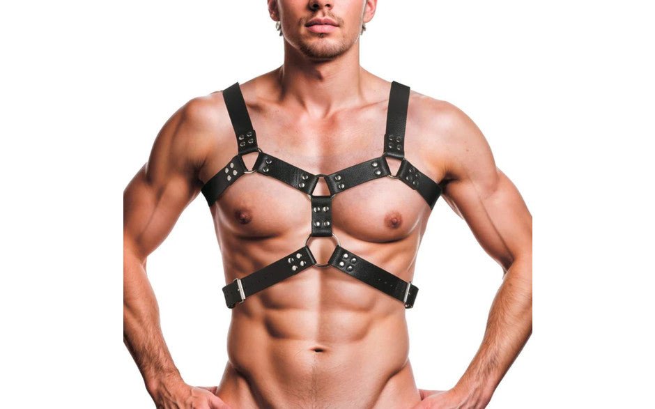 6 O - Ring Chest Harness - Adult Toys