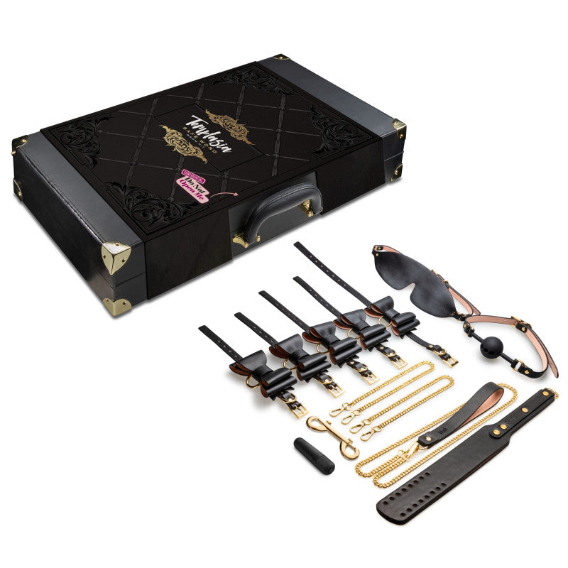Temptasia Safe Word Bondage Kit with Suitcase - 9 Piece Bondage Set - Naughty by Nature Adult Store