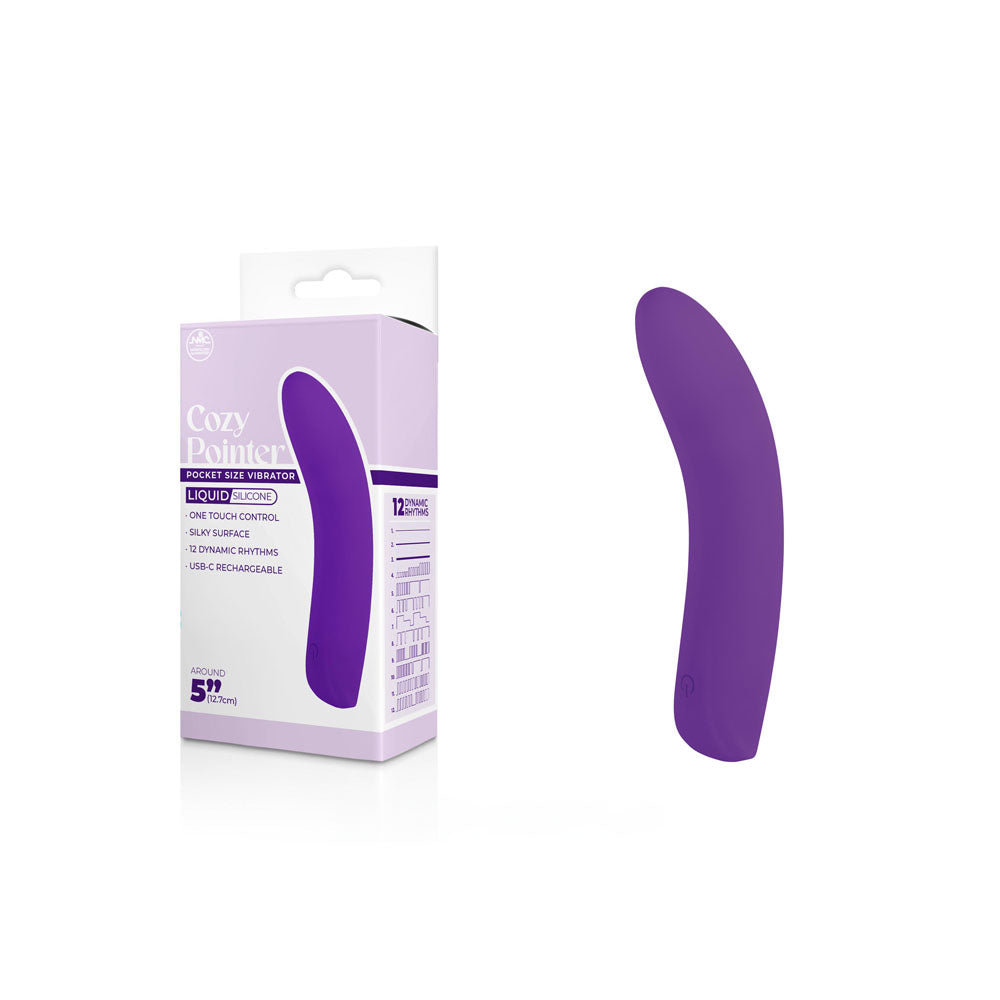 Cozy Pointer - Purple - Purple 12.7 USB Rechargeable Mini Vibrator - Naughty by Nature Adult Store