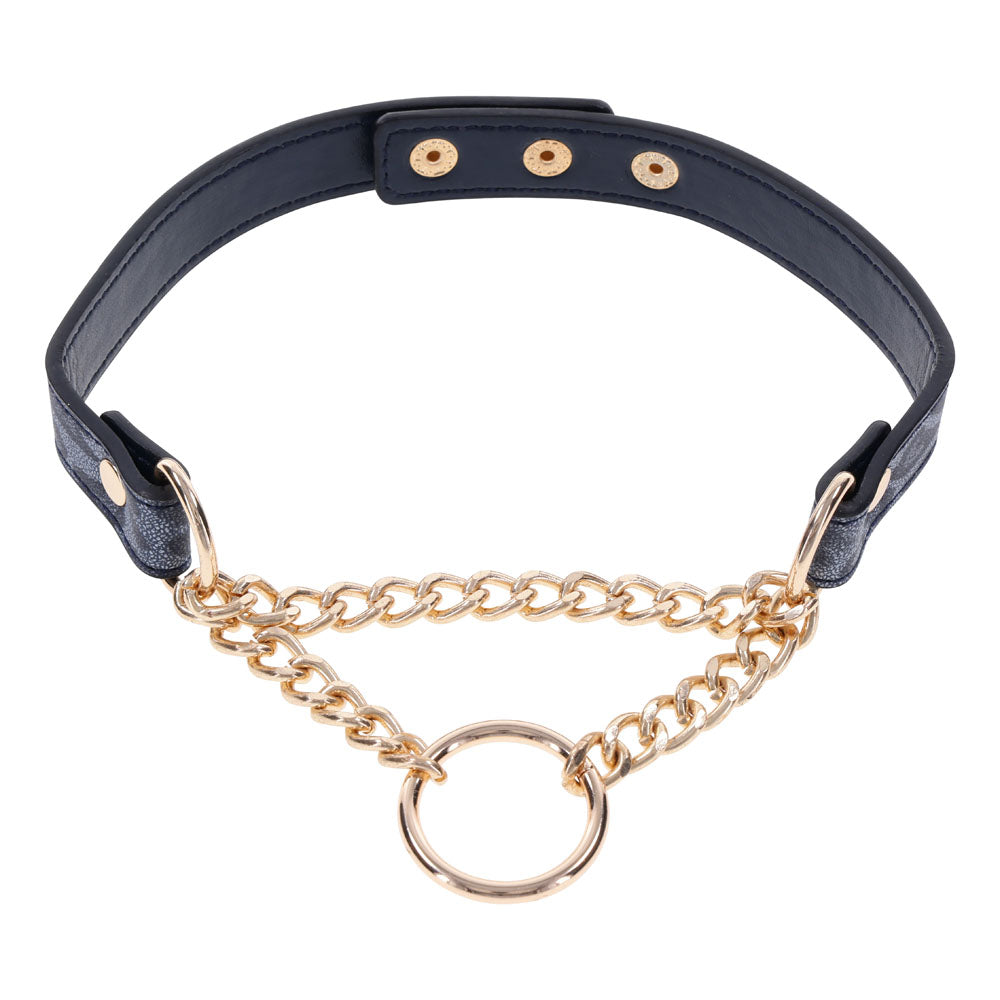 Sex & Mischief Cougar Day Collar - Navy Blue/Gold Collar - Naughty by Nature Adult Store