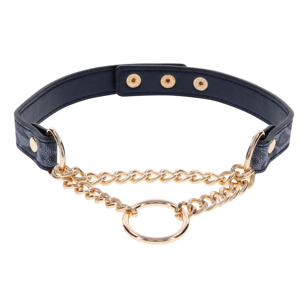 Sex & Mischief Cougar Day Collar - Navy Blue/Gold Collar - Naughty by Nature Adult Store