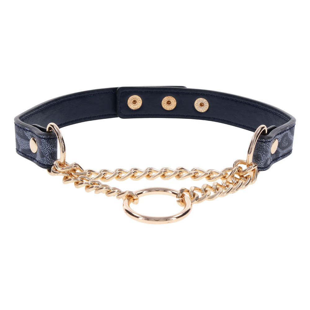 Sex & Mischief Cougar Day Collar - Navy Blue/Gold Collar - Naughty by Nature Adult Store
