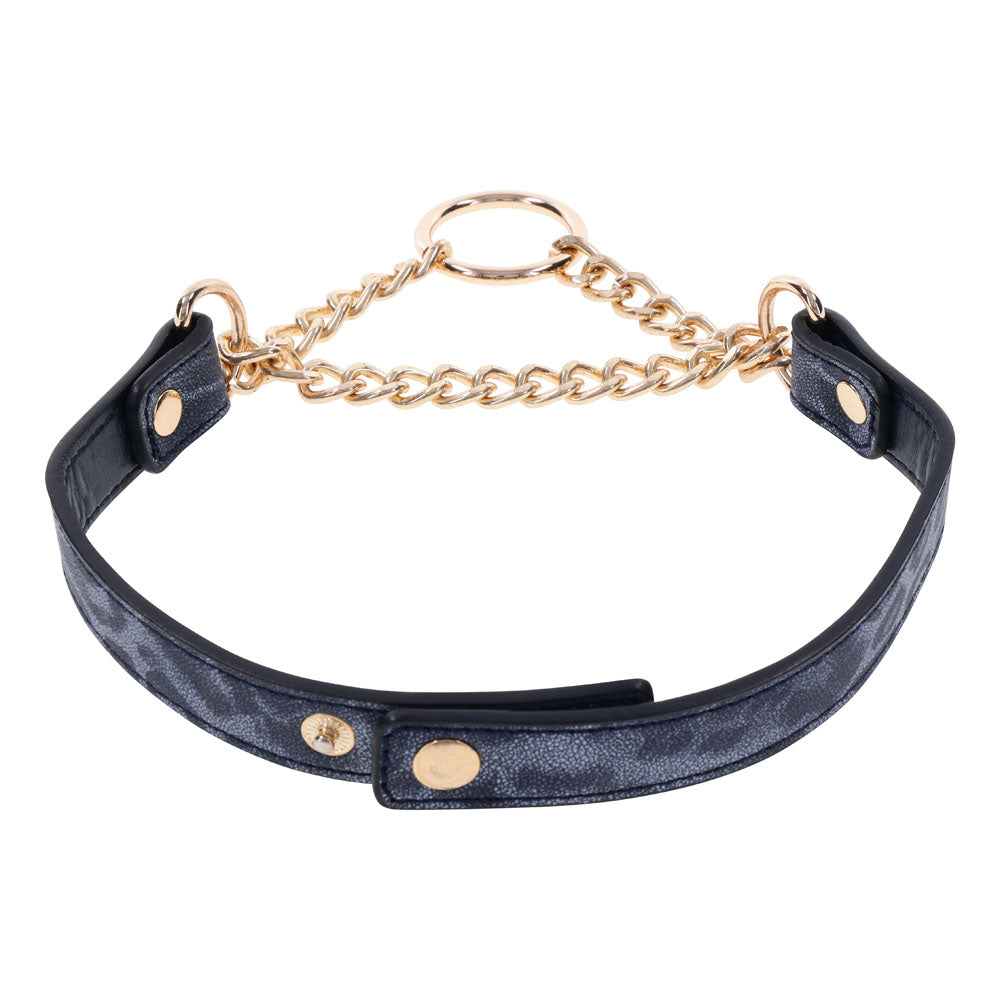 Sex & Mischief Cougar Day Collar - Navy Blue/Gold Collar - Naughty by Nature Adult Store