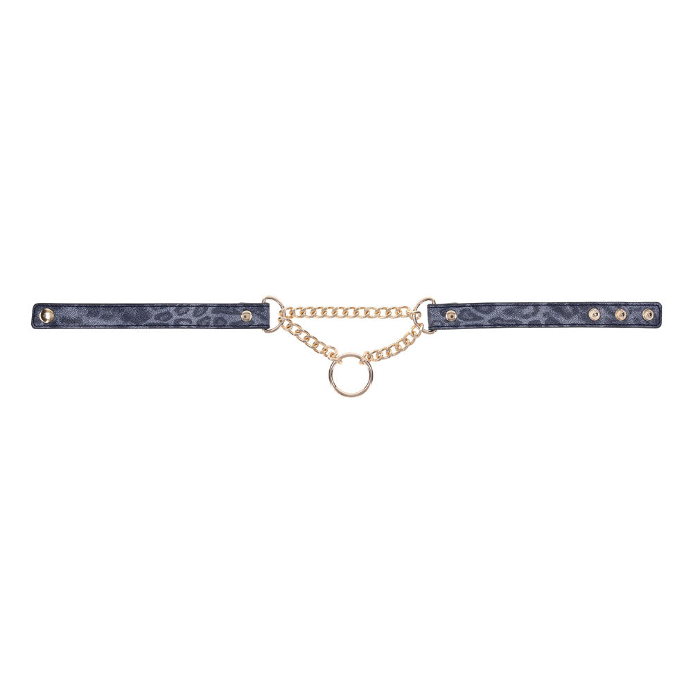 Sex & Mischief Cougar Day Collar - Navy Blue/Gold Collar - Naughty by Nature Adult Store