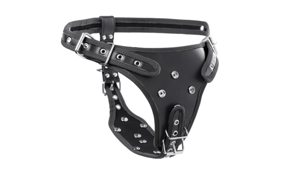 Double Penetration Strap On Harness - Adult Toys