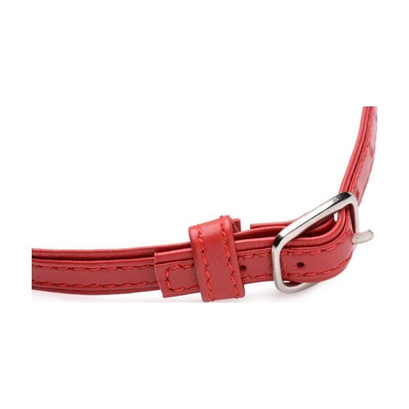 Fiery Pet Leather Choker w Silver Ring Red - Adult Toys