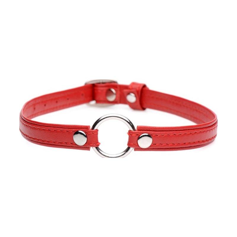 Fiery Pet Leather Choker w Silver Ring Red - Naughty by Nature Adult Store