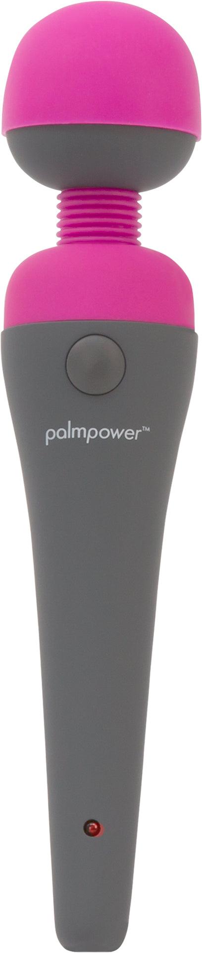 PalmPower Massage Wand Blue - Naughty by Nature Adult Store