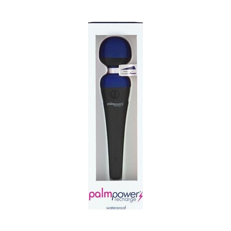 PalmPower Massage Wand Blue - Naughty by Nature Adult Store