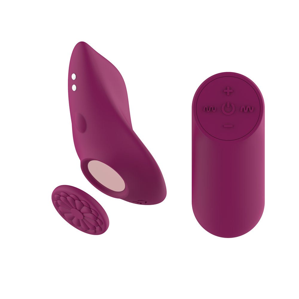 Passion Play Magnet Panty Vibrator With Remote Control Purple USB Rechargeable - STIMULATORS