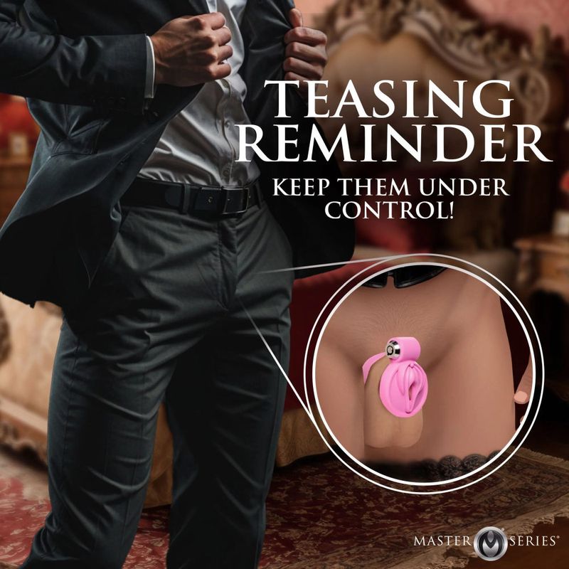 Pussification Vulva Chastity Cage - Adult Toys