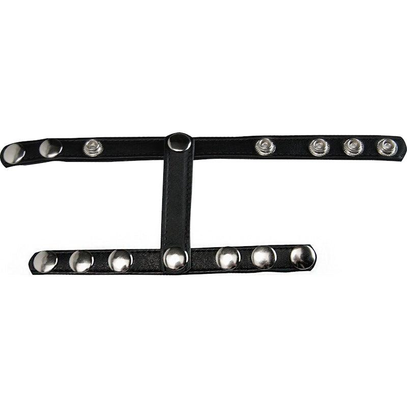 Snap-On Cock And Ball Harness - Naughty by Nature Adult Store