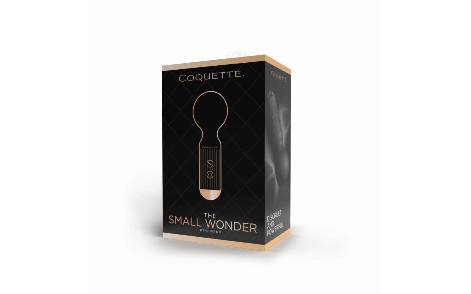 The Small Wonder Mini Wand - Adult Toys