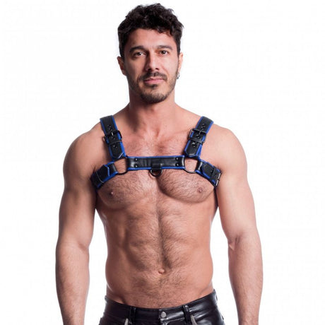 Vegan Bulldog Harness Black and Blue - Lingerie