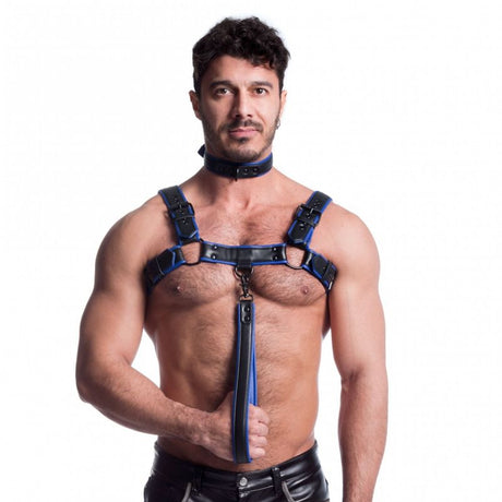 Vegan Bulldog Harness Black and Blue - Lingerie
