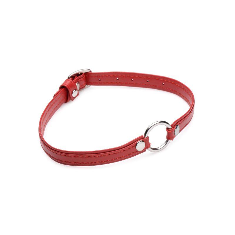 Fiery Pet Leather Choker w Silver Ring Red - Adult Toys