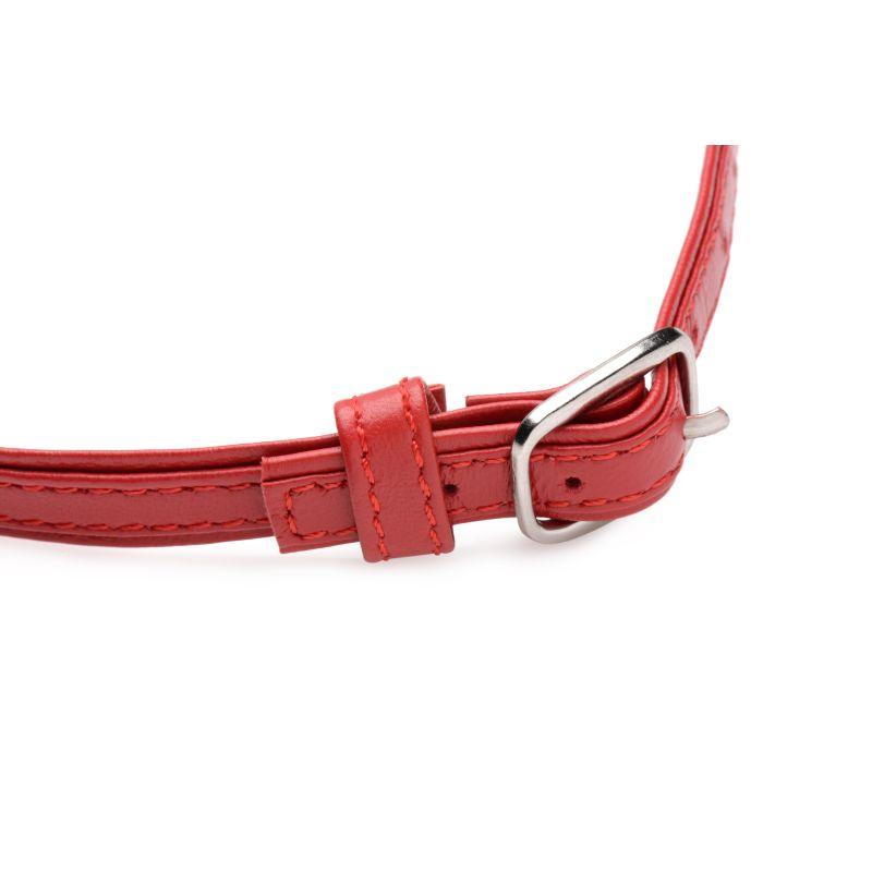 Fiery Pet Leather Choker w Silver Ring Red - Naughty by Nature Adult Store