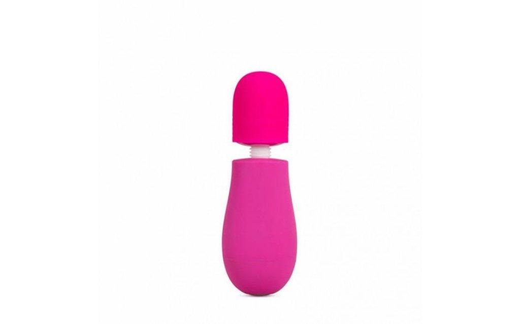 Rose Petite Massage Wand Pink - Adult Toys