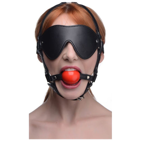 Blindfold Harness w Ball Gag - Naughty by Nature Adult Store