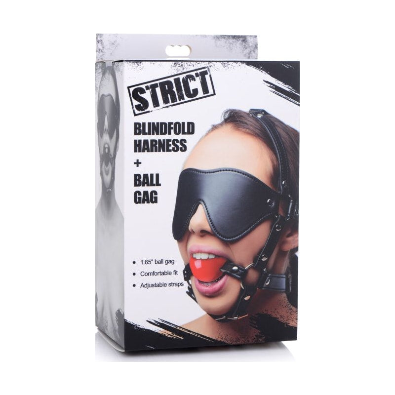 Blindfold Harness w Ball Gag - Naughty by Nature Adult Store