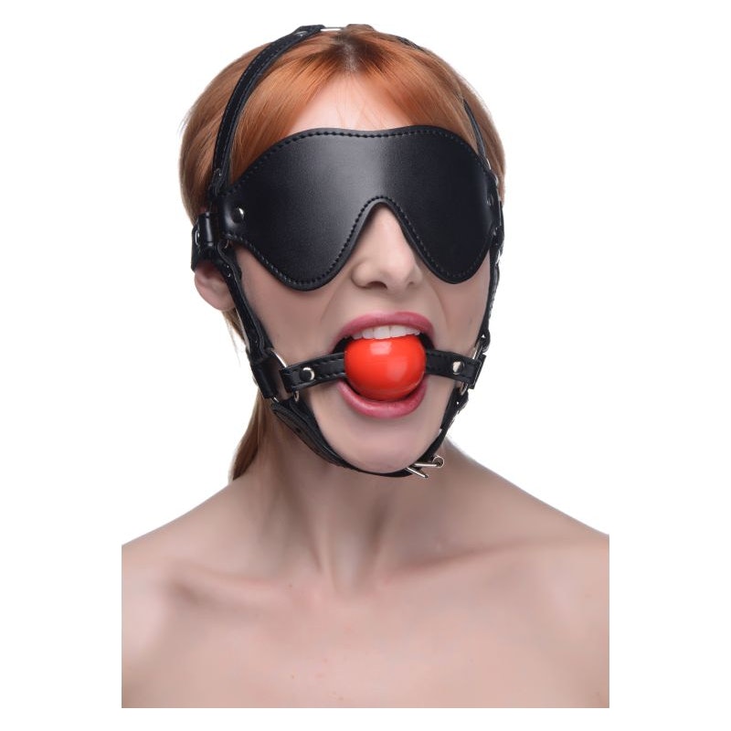 Blindfold Harness w Ball Gag - Naughty by Nature Adult Store
