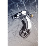 Silver Metal Cock Cage w Rings and Lock - Naughty by Nature Adult Store