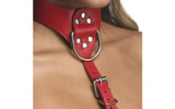 Red Female Chest Harness S/M - Naughty by Nature Adult Store