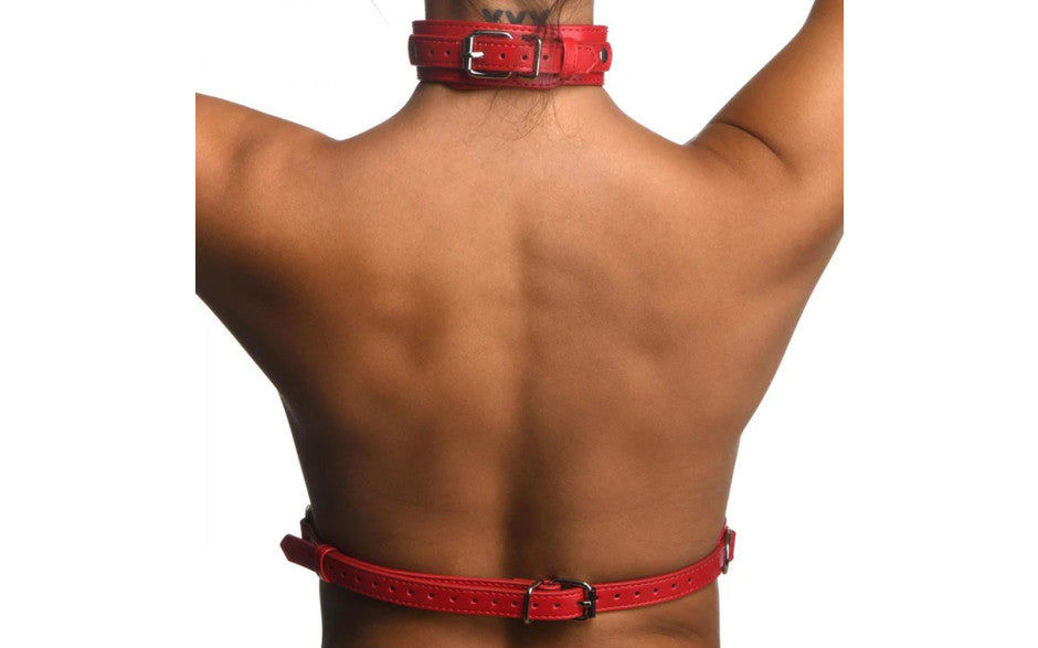 Red Female Chest Harness S/M - Naughty by Nature Adult Store