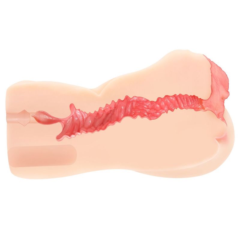 Jenny Onahole Edn 5 Dual Layer 1:1 Butt Vaginal and Anal Torso