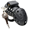 Lock Down Chastity Cage - Naughty by Nature Adult Store