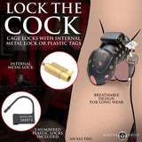 Lock Down Chastity Cage - Naughty by Nature Adult Store