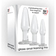 Adam & Eve Glass Anal Training Trio - Clear Glass Butt Plugs - Set of 3 Sizes - Naughty by Nature Adult Store