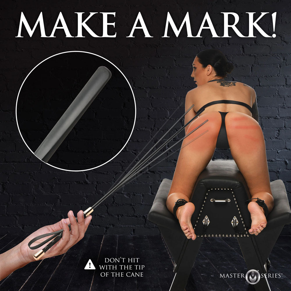 Master Series Sinful Impact Cane - Black Plastic Cane Whip - Naughty by Nature Adult Store