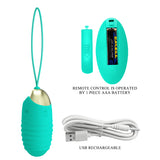 Party Up IAN Remote Egg - Vibrating Egg with Wireless Remote