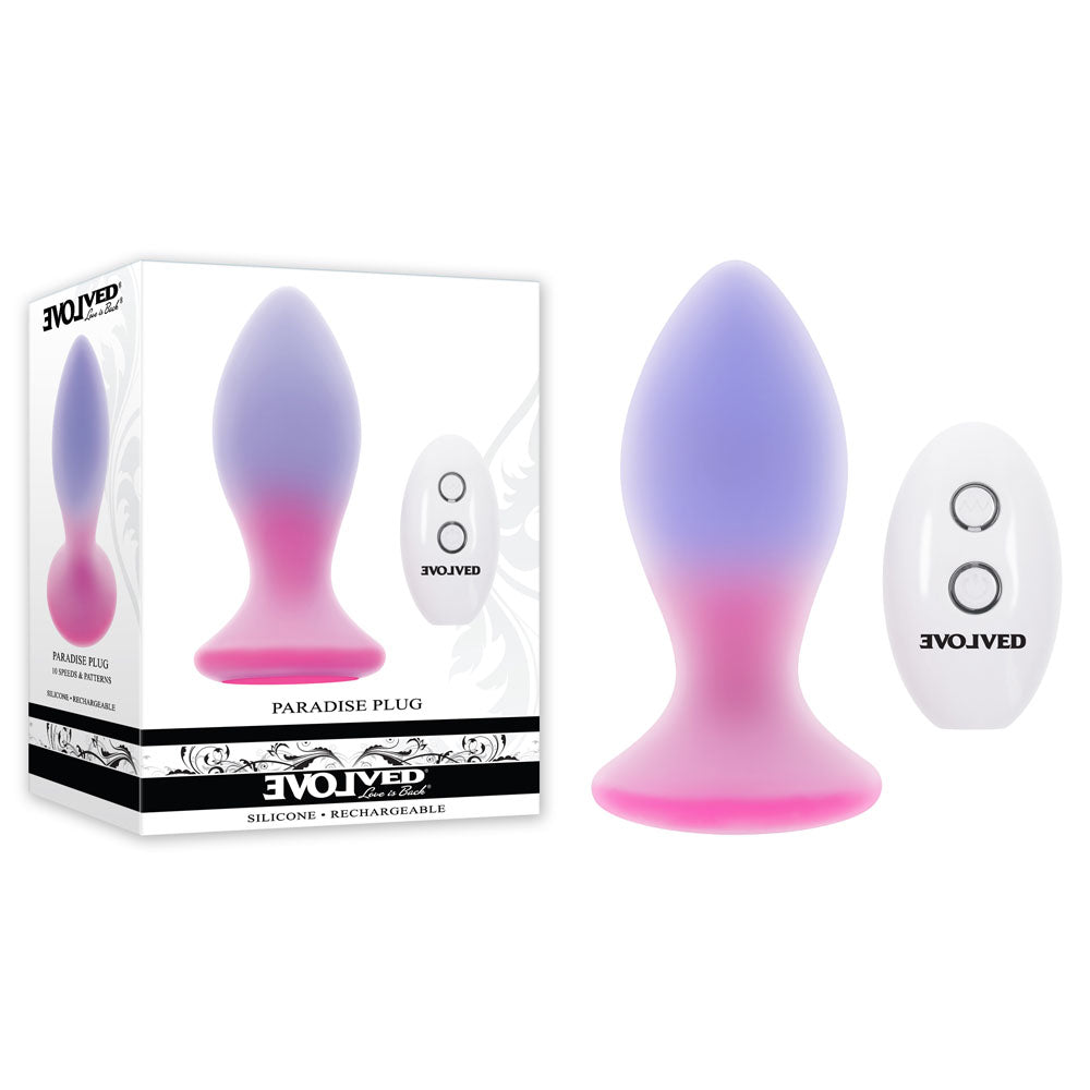 Evolved PARADISE PLUG - Pink/Purple 10.5 cm USB Rechargeable Vibrating Butt Plug with Wireless Remote - Naughty by Nature Adult Store