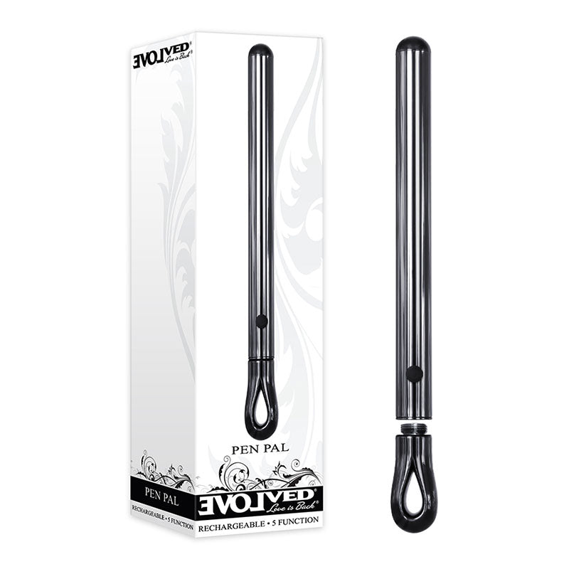 Evolved Pen Pal - Metallic 11.3 cm USB Rechargeable Vibrator - Naughty by Nature Adult Store