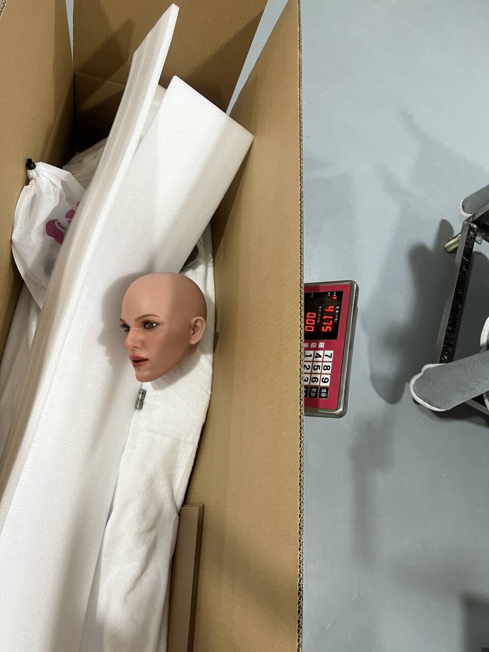 167cm (5ft6) E-Cup Silicone Sex Doll Sophia, ROS Head #AB20
