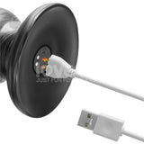 King Sized Vibrax Slider - (12.5'') USB Rechargeable Vibrating Dildo