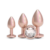 Rear Assets Trainer Kit - Iridescent Champagne Metallic Butt Plugs - Set of 3 Sizes