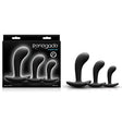 Renegade P Spot Kit - Black Anal Plugs - Set of 3 Sizes - Naughty by Nature Adult Store