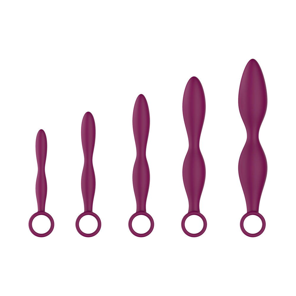 Silicone Dilator Set Purple Kit Five Sizes For Gentle Insertion