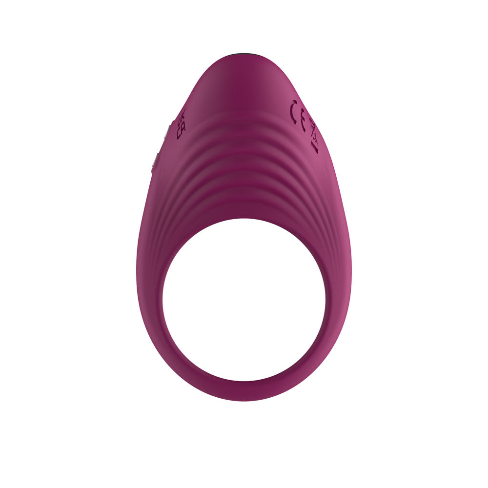 Silicone Vibrating Cock Ring USB Rechargeable Purple