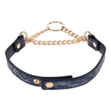 Sex & Mischief Cougar Day Collar - Navy Blue/Gold Collar - Naughty by Nature Adult Store
