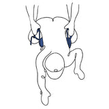 Pivot Deluxe Doggie Strap - Black Position Harness Strap - Naughty by Nature Adult Store