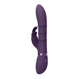 VIVE Sora - Purple - Purple 24.2 cm USB Rechargeable Rabbit Vibrator - Naughty by Nature Adult Store